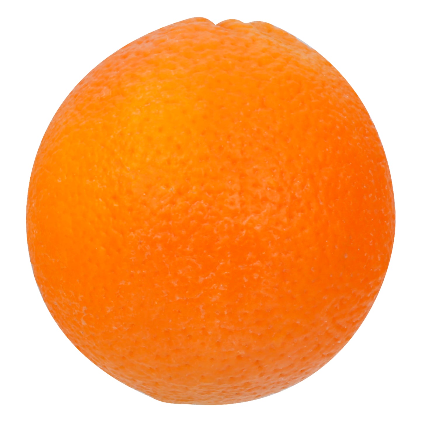 Seville Orange (Naranja Agria)