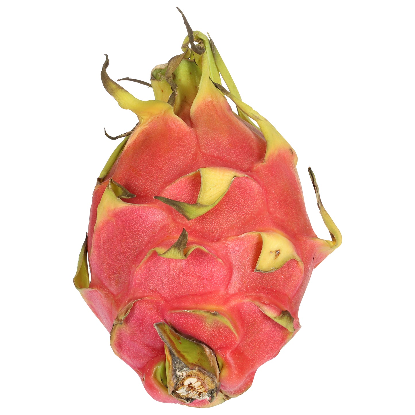 Dragon Fruit (Pitaya)