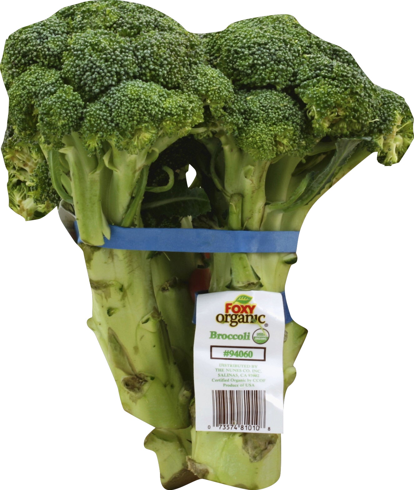 Broccoli (Brocoli)