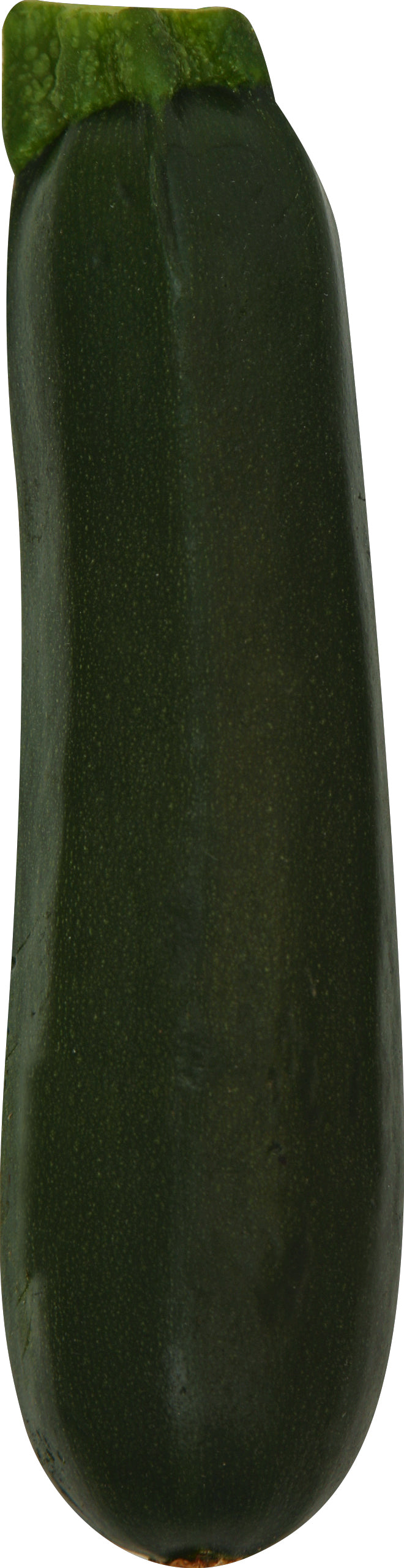Cúrcuma (Curcuma)