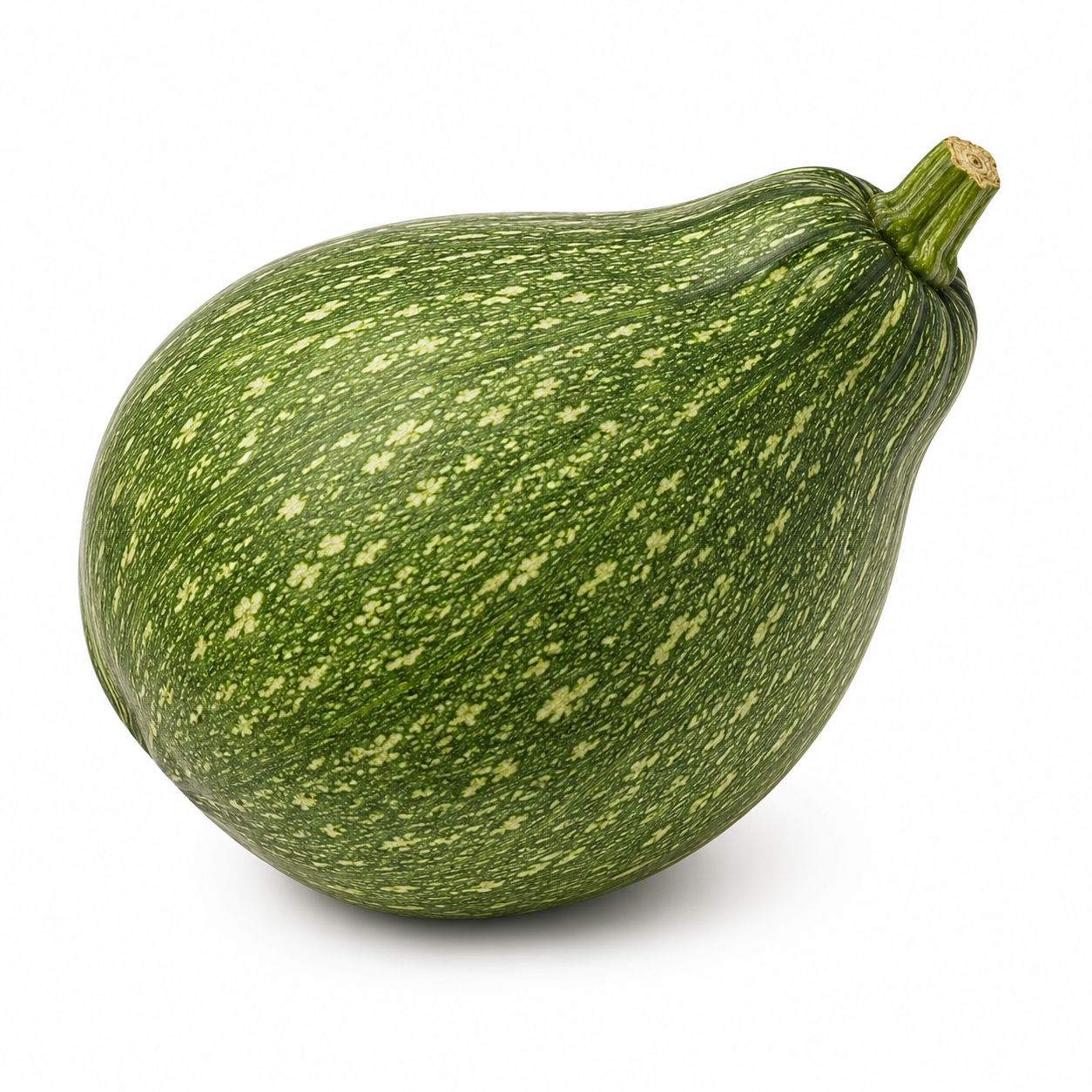 Large Chilacayote Squash (Chilacayote Grande)