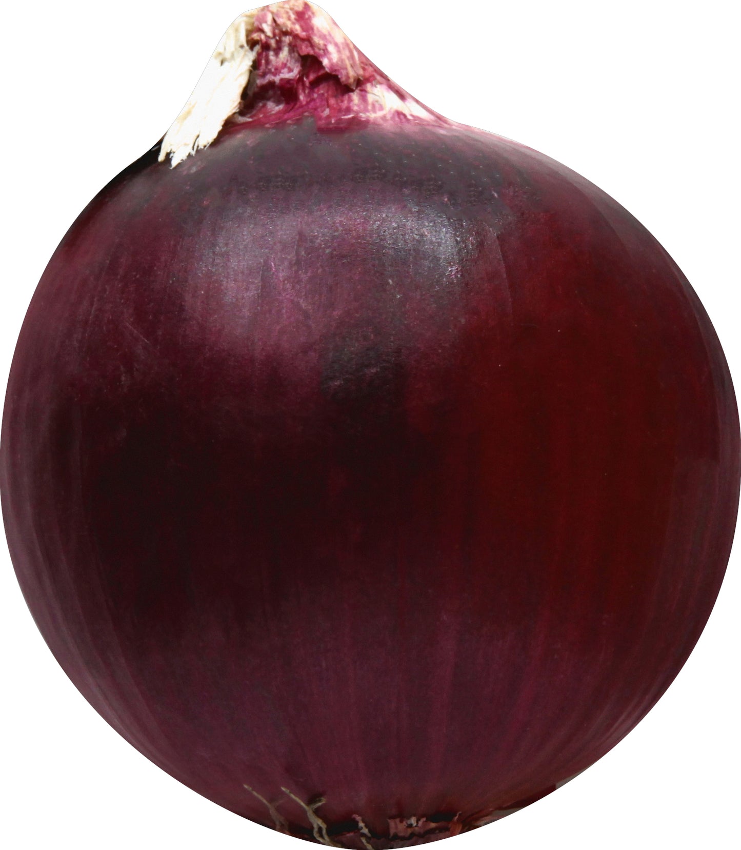 Red Onion (Cebolla Morada)