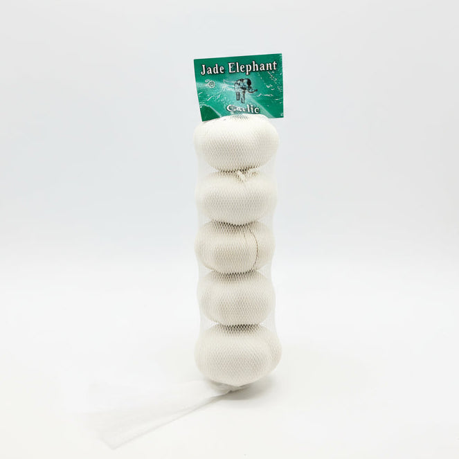 Test Jade Elephant Garlic