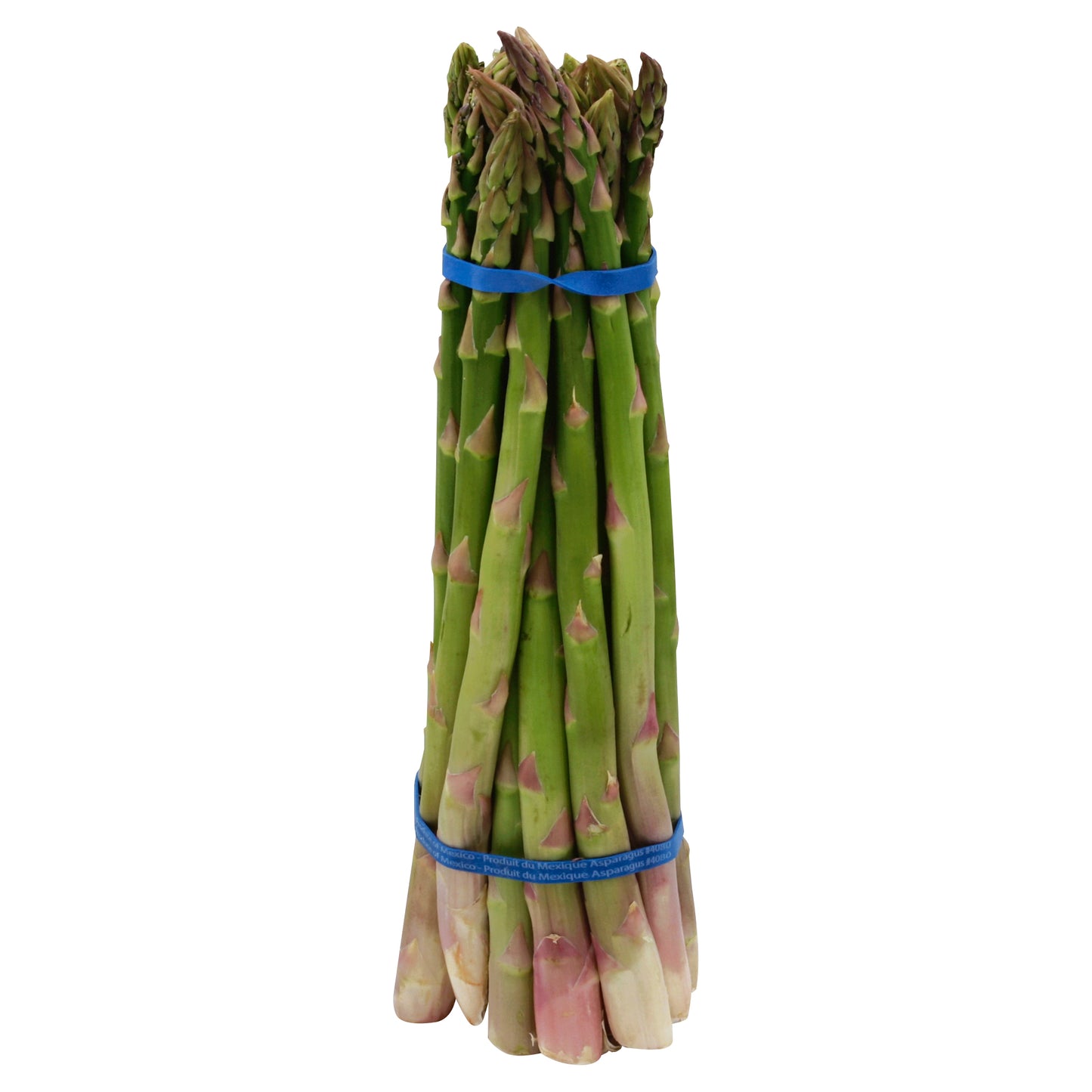 Espárrago (Asparagus)