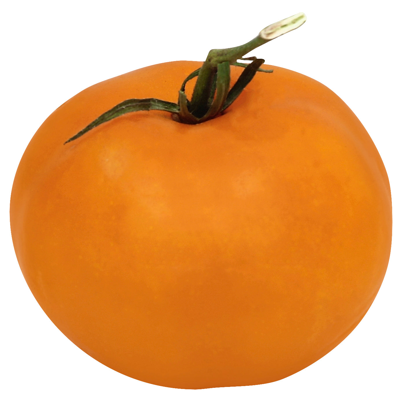 Roma Tomatoes (Tomate Roma)