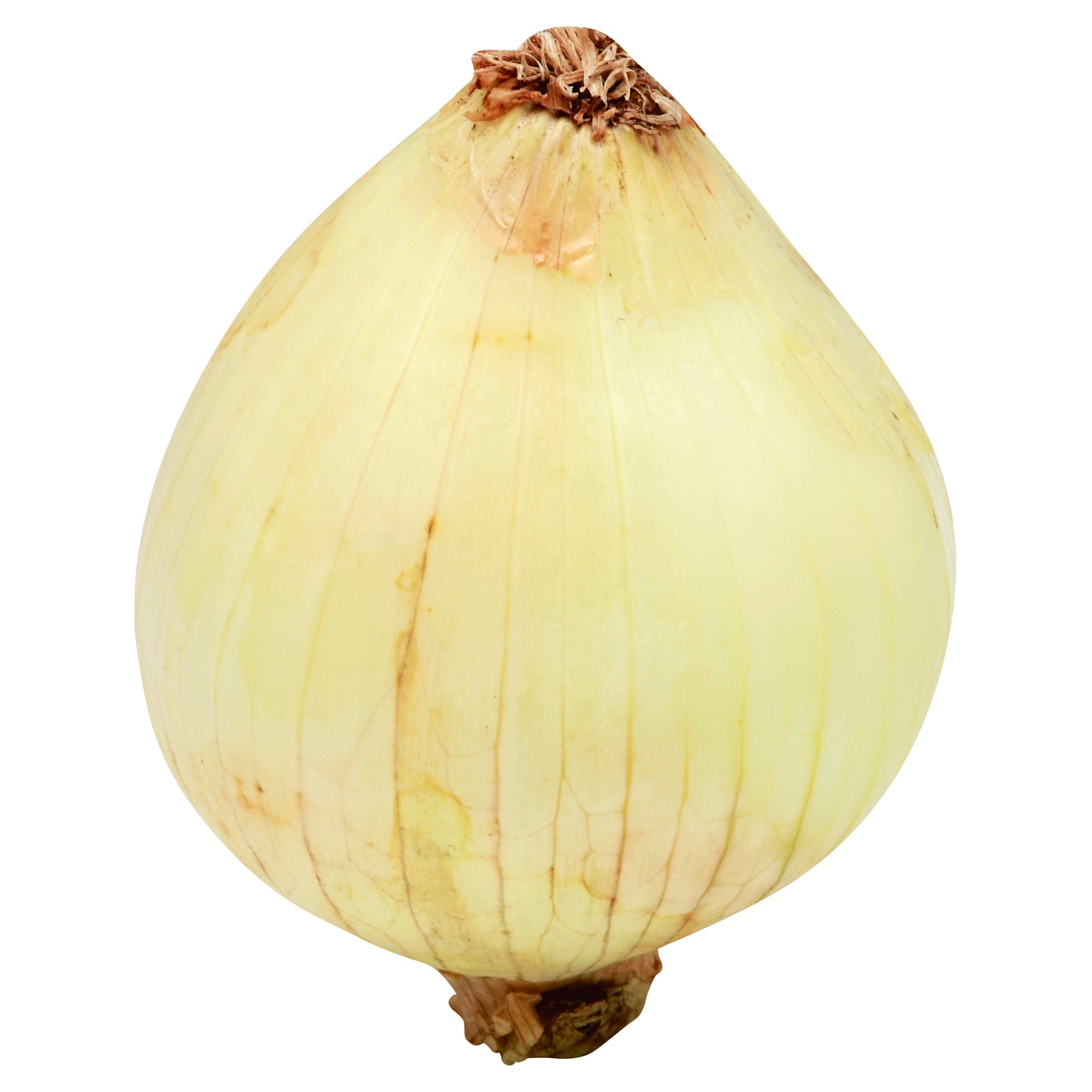Yellow/Brown Onion - Small (Cebolla Amarilla)