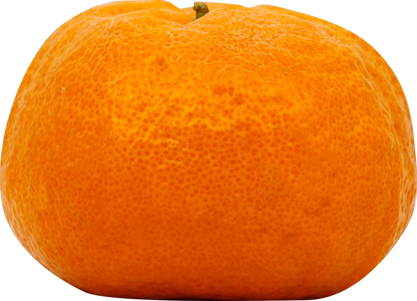 Tangerine/Mandarin (Mandarina)