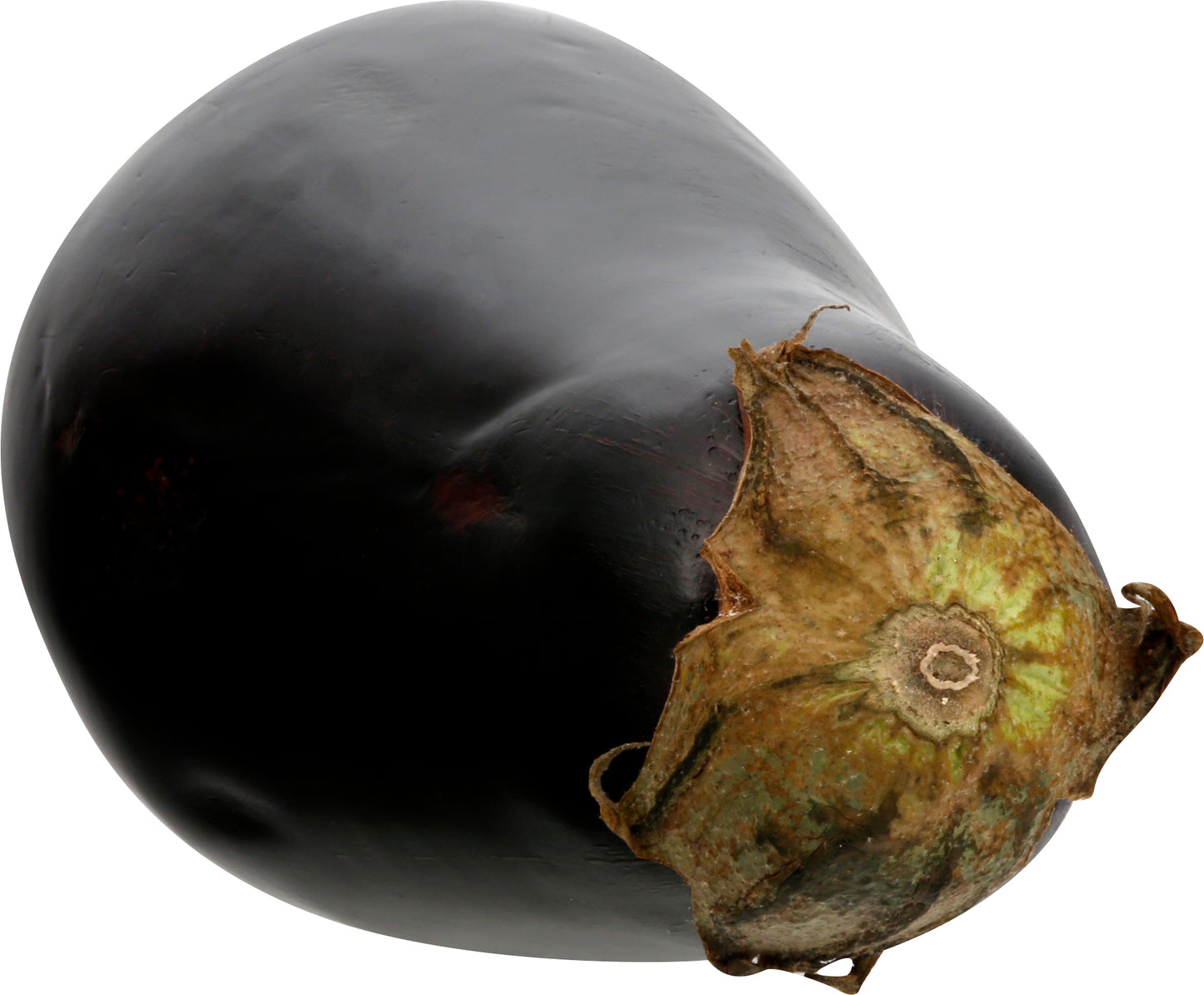 Eggplant (Berenjena)