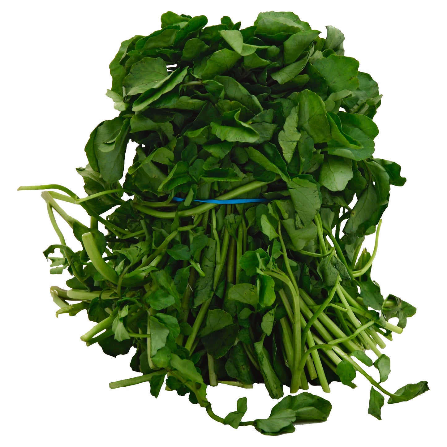 Watercress (Berros)