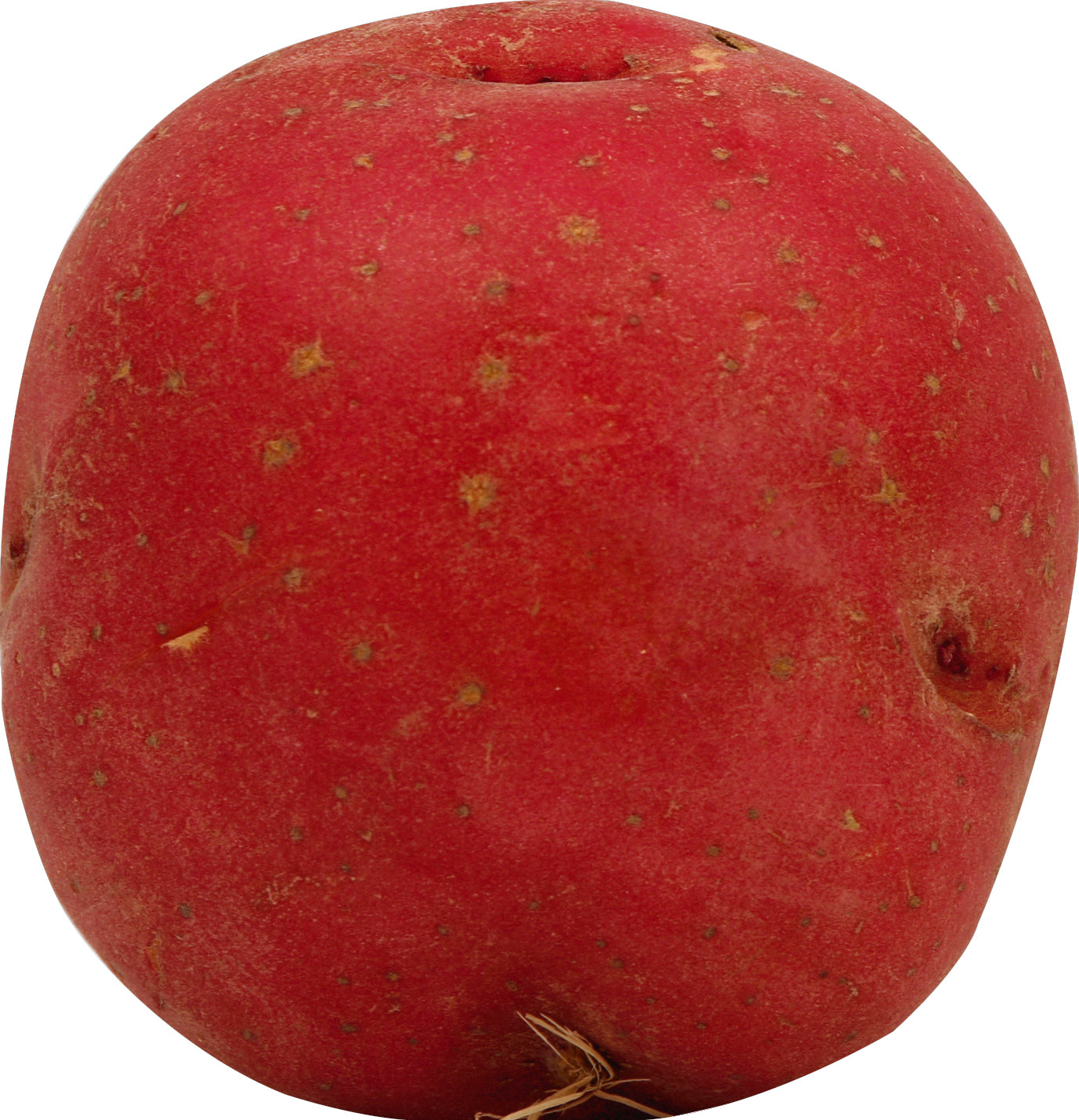 Red Potato (Papa Roja)