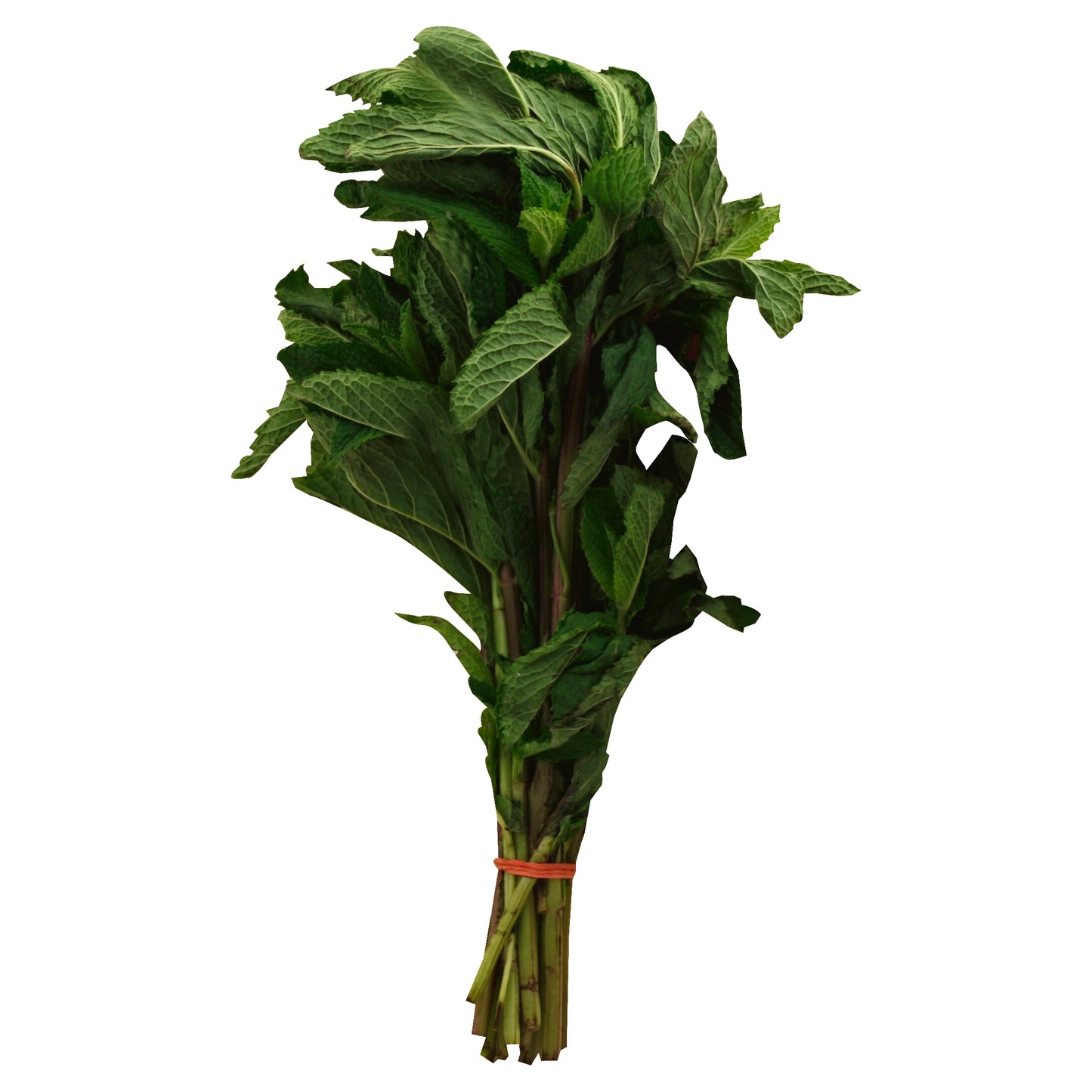 Mint per lb (Menta x lb)