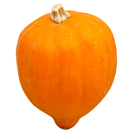 Acorn/Table Queen Squash (Calabaza Acorn)