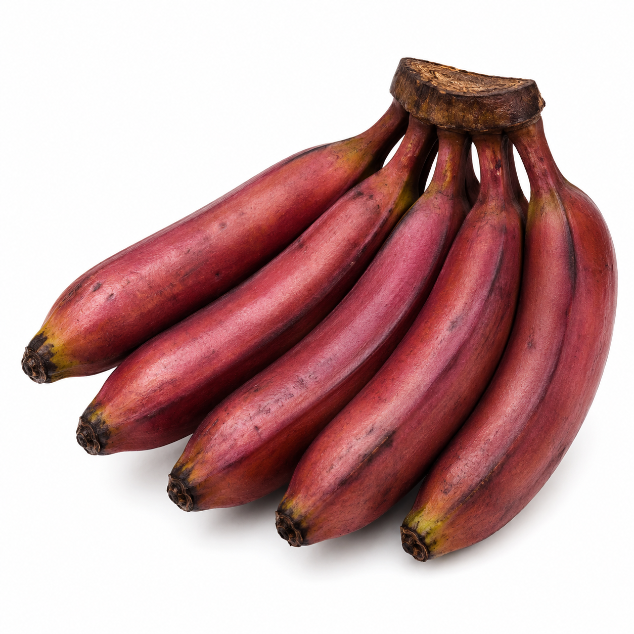 Purple Banana (Guineo Morado)