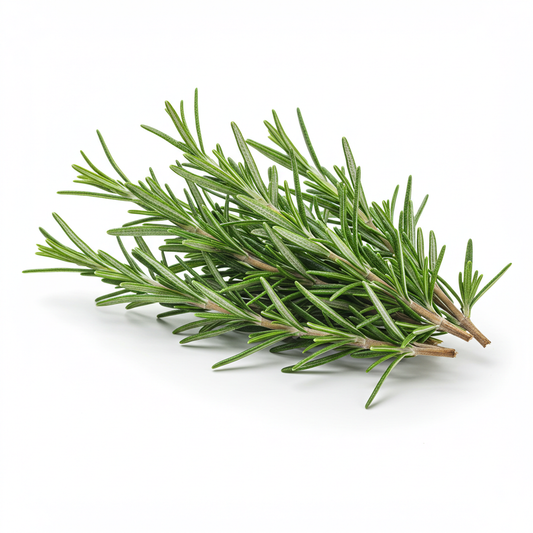 Fresh Rosemary (Romero)