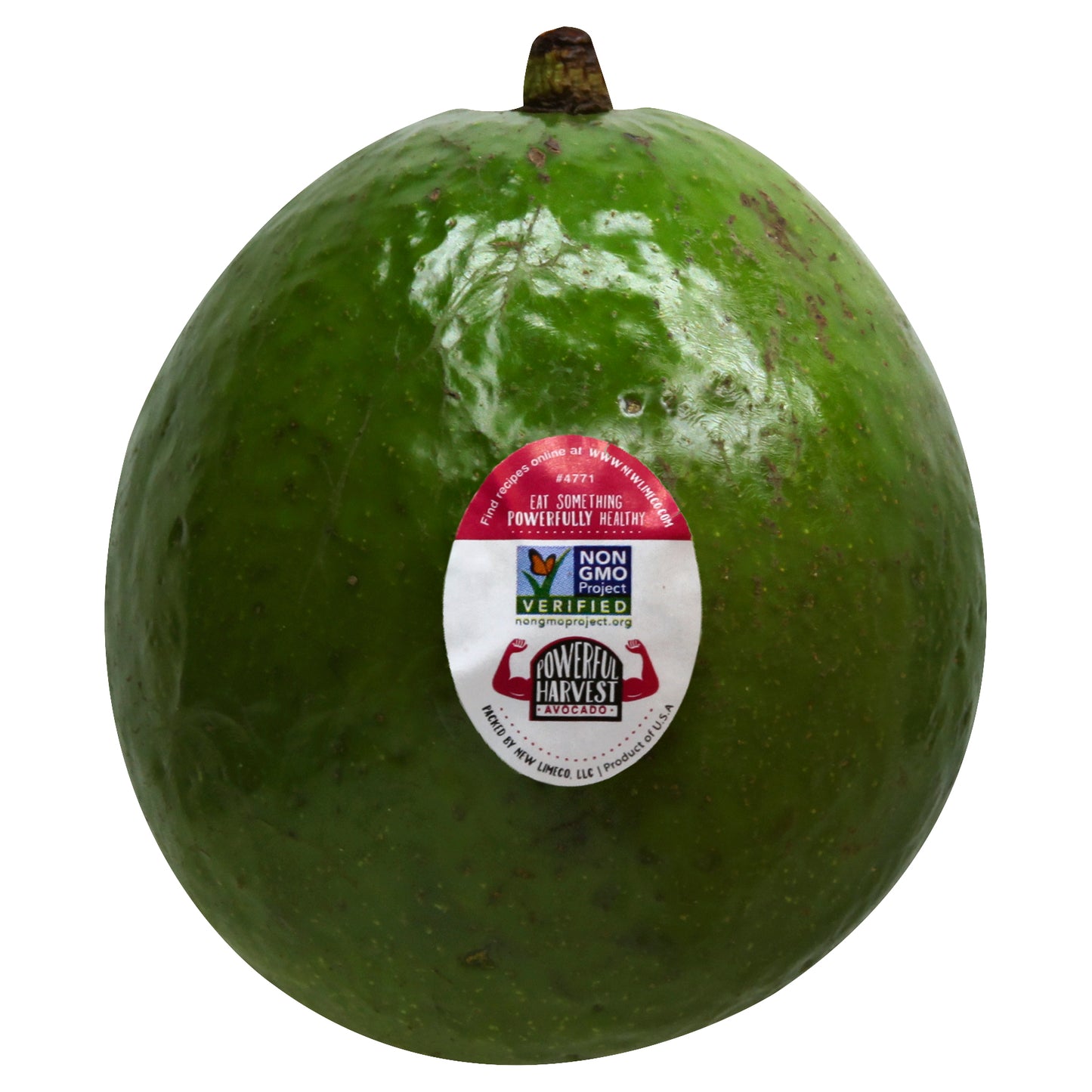 Florida Avocado (Aguacate Florida)