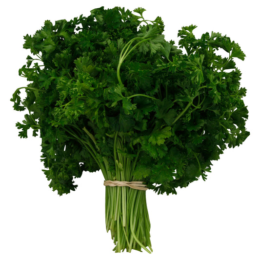 Parsley (Regular/Curly) (Perejil)