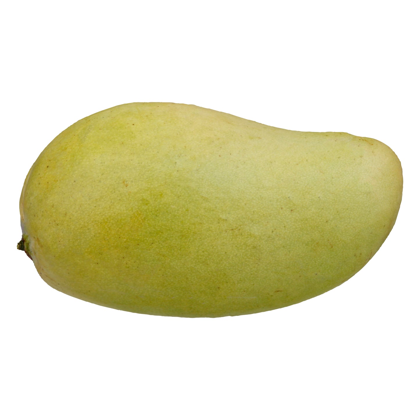 Yellow Criollo Mango (Mango Criollo Amarillo)