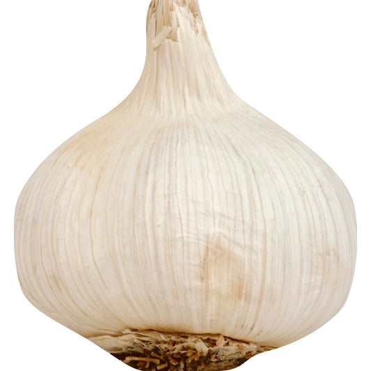 Garlic (Ajo)