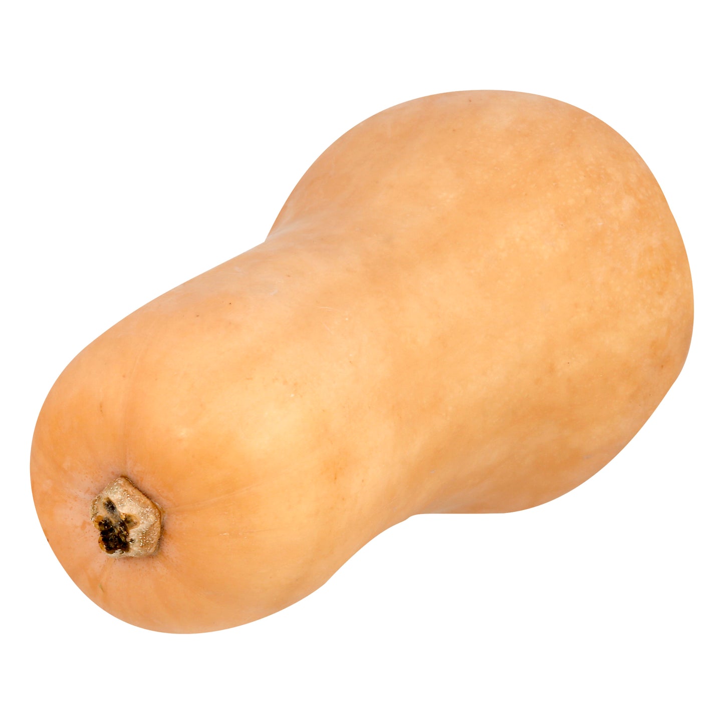 Butternut Squash (Calabaza Butternut)