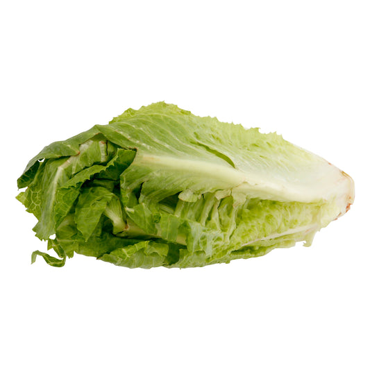 Romaine Lettuce (Lechuga Romana)