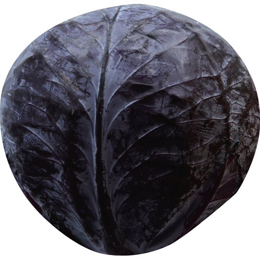 Red Cabbage (Repollo Rojo)