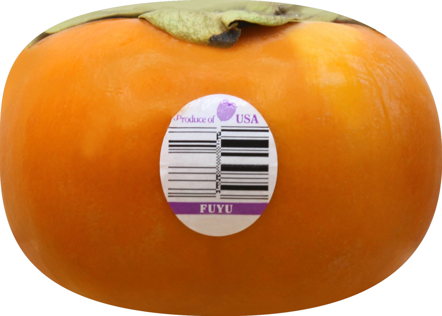 Persimmon (Persimo)