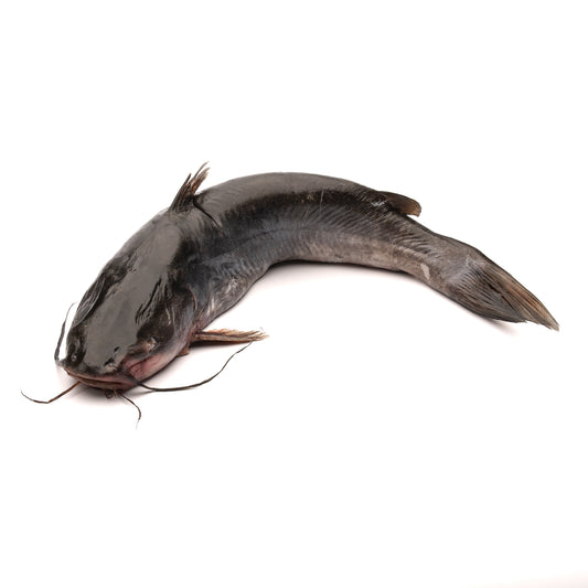 Whole Catfish (Pescado Bagre Entero)