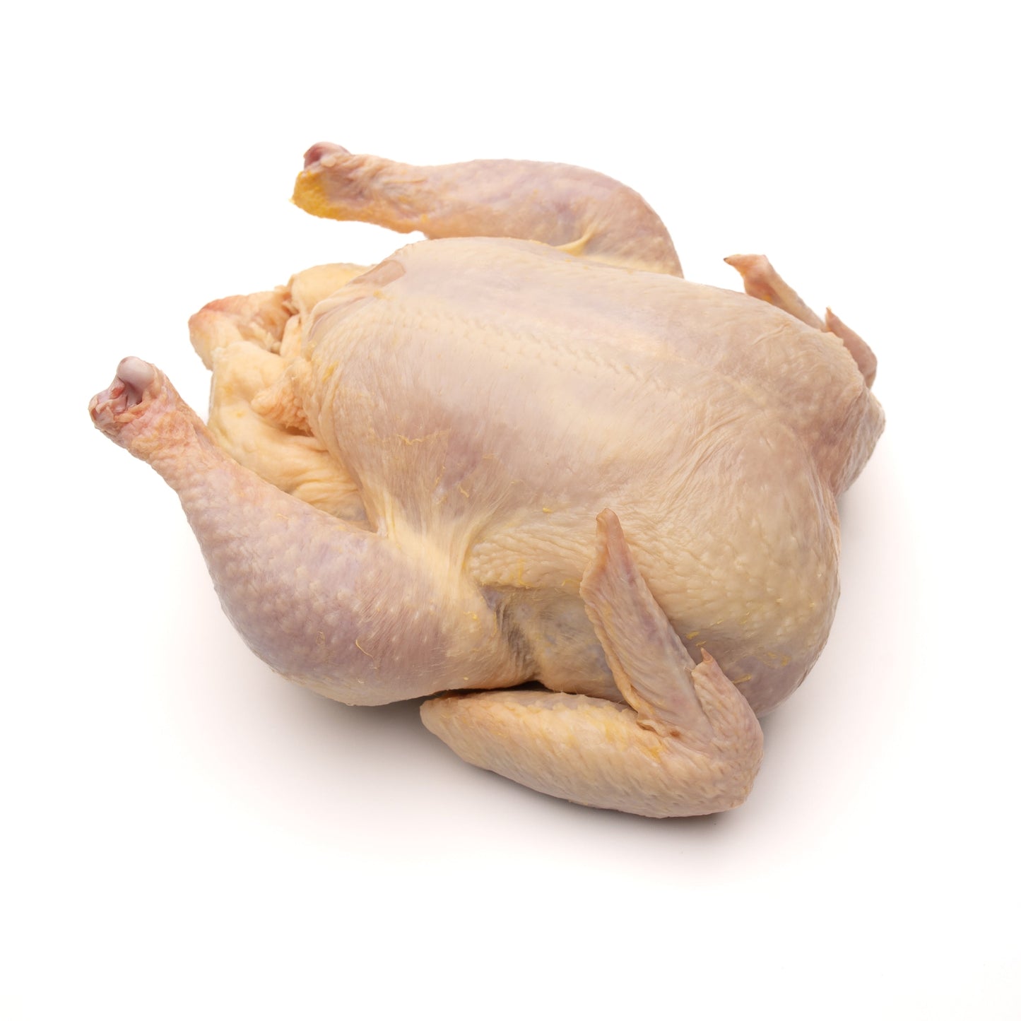 Free-range Hen (Gallina de Rancho)