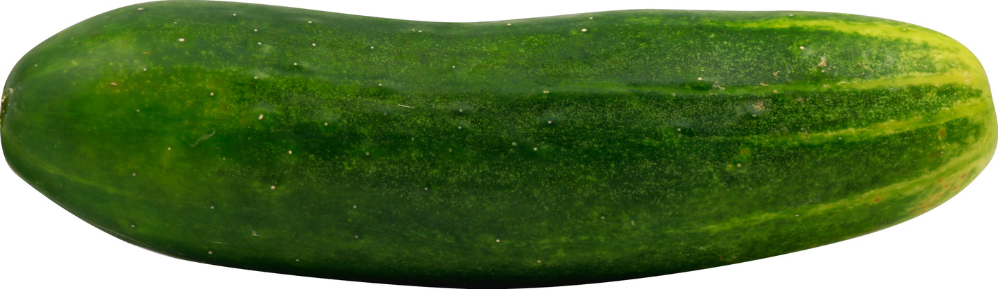 Cucumber (Pepino)