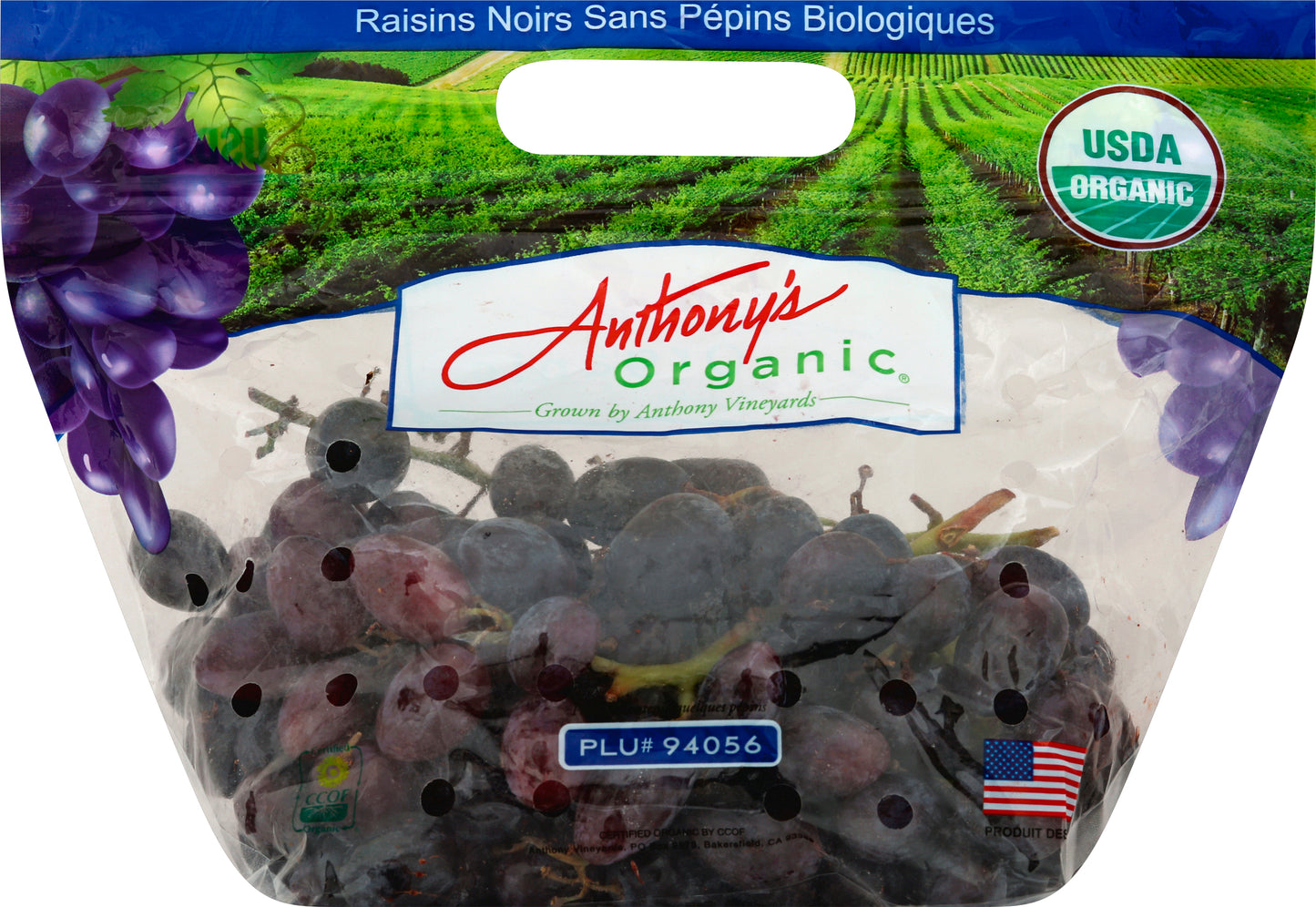Black Grapes (Uva Negras)
