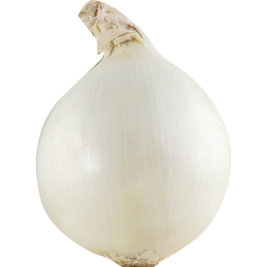White Onion (Cebolla Blanca)