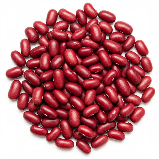 Cranberry Bean (Frijol de Arandano)