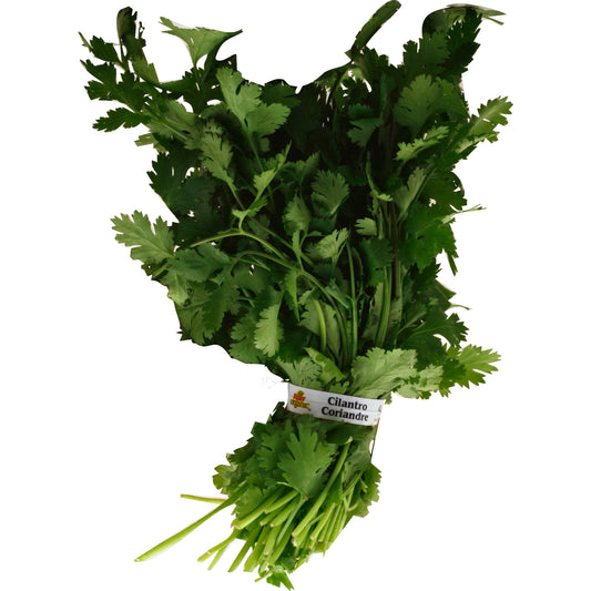 Cilantro (Chinese Parsley/Coriander)