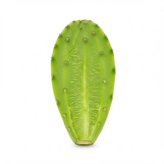 Peeled Cactus Paddle (Nopal Pelado)